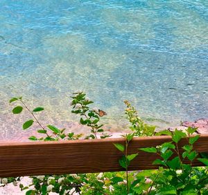 Image post by @breezypointcabins on Facebook