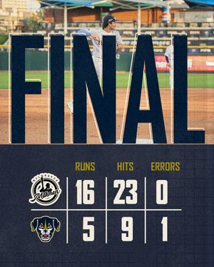 Image post by @saltdogsball on Instagram