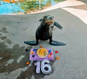 Image post by @denverzoo on Instagram