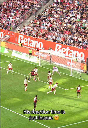 Video post by @bundesliga on TikTok