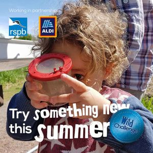 Image post by @rspb on Instagram