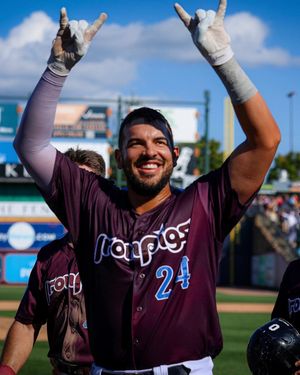 Video post by @IronPigs on Twitter