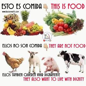 Image post by @redlatina on Facebook