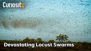 Video post by @curiositystreaming on YouTube