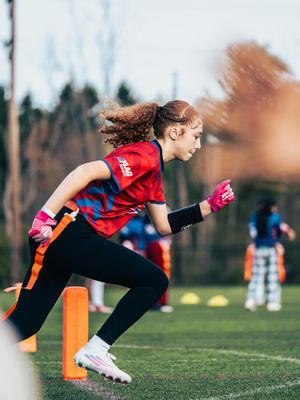 Image post by @nflflag on Instagram