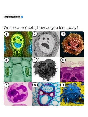 Image post by @gravitonomy on Instagram