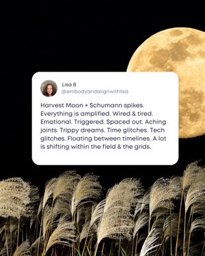 Image post by @embodyandalignwithlisa on Instagram