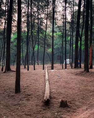 Image post by @pri1esh on Instagram