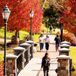 Image post by @endicottcollege on Instagram