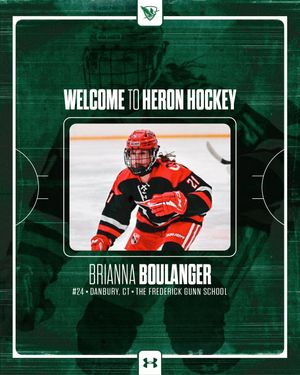 Image post by @heronhockey on Instagram