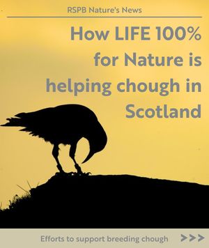 Image post by @rspb on Instagram