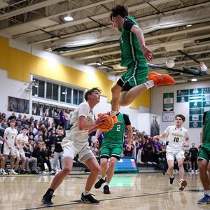 Image post by @plaidsheepcreative on Instagram