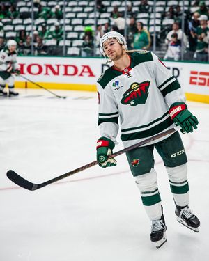 Image post by @minnesotawild on Instagram