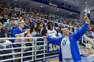 Image post by @hofstrau on Instagram