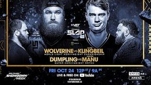 Video post by @ufc on YouTube