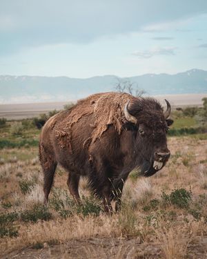 Image post by @project.emx on Instagram