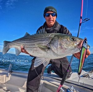 Image post by @black_ledge_lures on Instagram