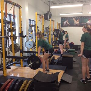 Image post by @wsuvball on Instagram