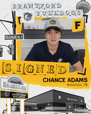 Image post by @bulldogsohl on Instagram