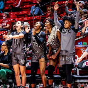 Image post by @utahwbb on Instagram