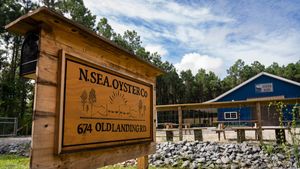 Image post by @UNCWAlumni on Twitter