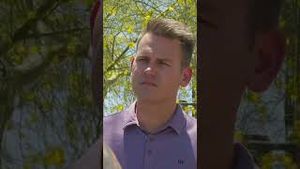 Video post by @wwltv on YouTube