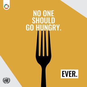 Image post by @unitednations on Instagram