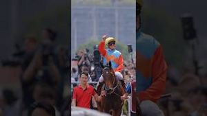 Video post by @worldhorseracing on YouTube