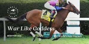 Image post by @keenelandsales on Twitter