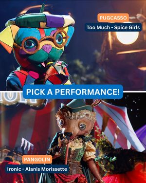 Image post by @maskedsingerfox on Instagram