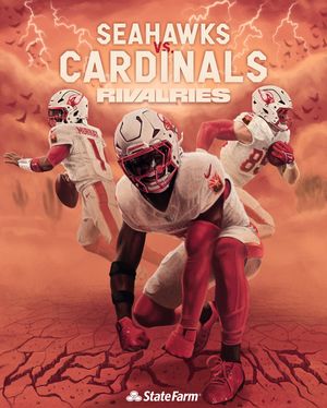 Image post by @azcardinals on Instagram