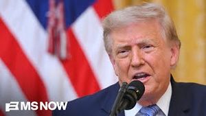 Video post by @msnbc on YouTube