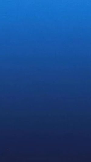 Video post by @Hudson Valley Renegades on Facebook