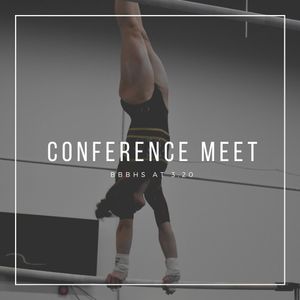 Image post by @stow_gymnastics on Instagram