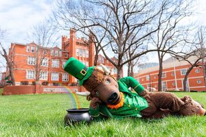 Image post by @marshallulife on Instagram