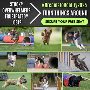 Image post by @susangarrettdogsthat on Instagram