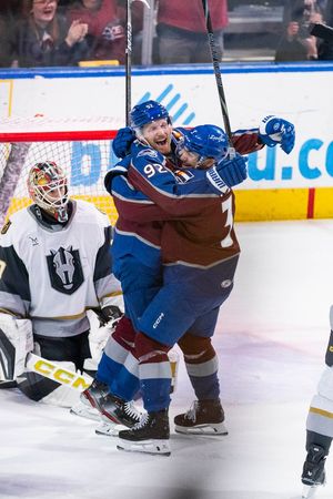 Image post by @TheAHL on Twitter