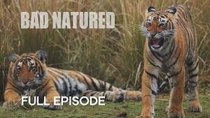 Video post by @bbcearth on YouTube