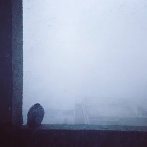 Image post by @bakedbaba93 on Instagram