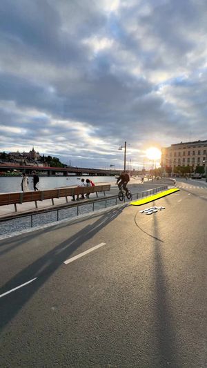 Video post by @redbullbike on TikTok