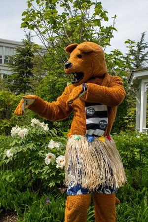 Image post by @penn_state on Twitter