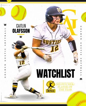 Image post by @gacsoftball on Twitter