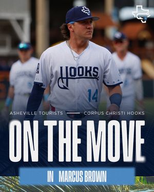 Image post by @cchooks on Instagram