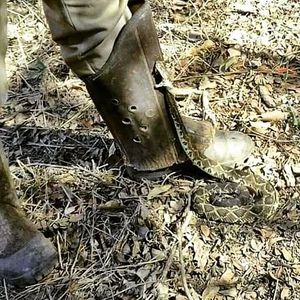 Image post by @operitoambiental on Instagram