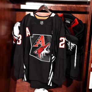Image post by @arizonacoyotes on Instagram