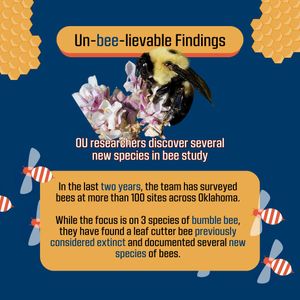 Image post by @okwildlifedept on Instagram