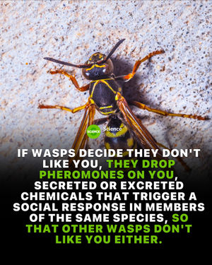 Image post by @science on Instagram