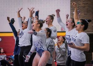 Image post by @ithacagymnastics on Instagram