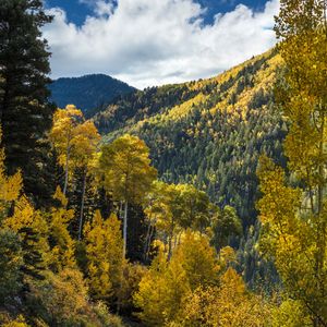 Image post by @skitaos on Instagram
