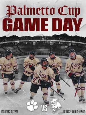 Image post by @cockhockey on Instagram